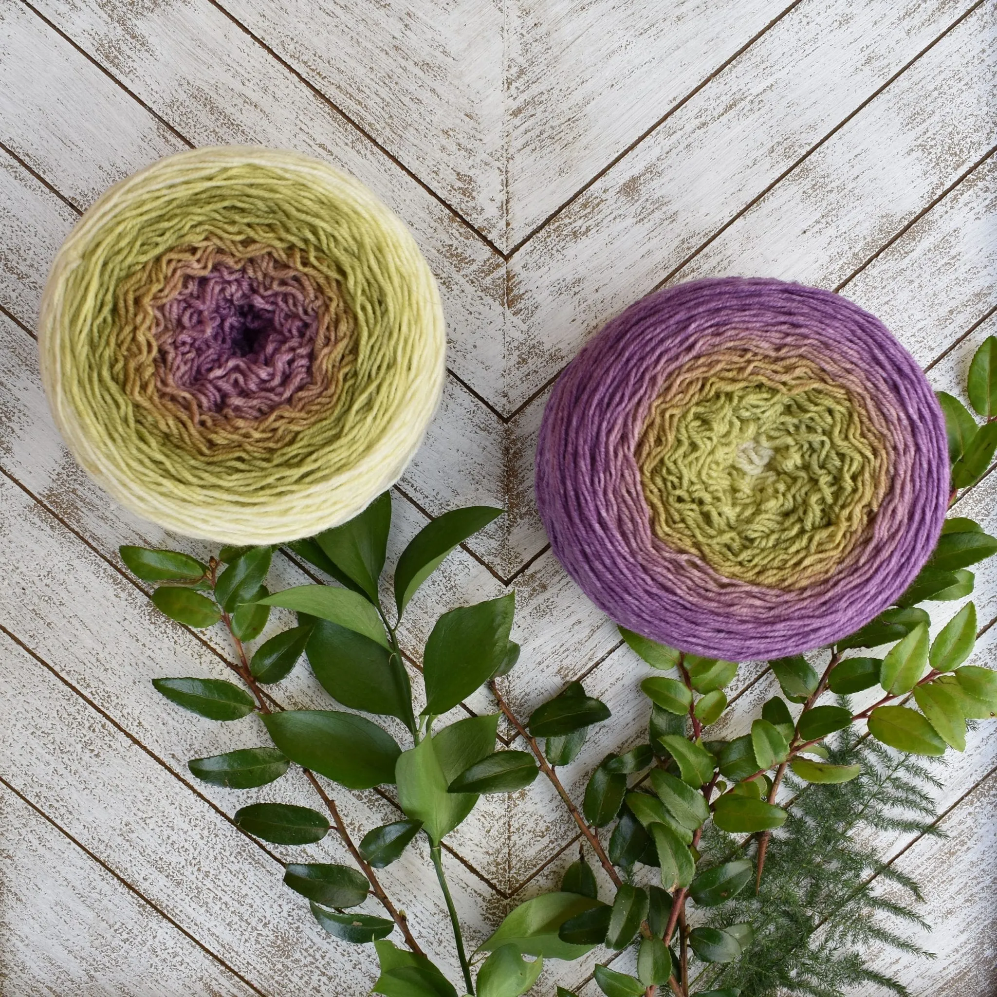 Mad Hatter Sport Weight Blossoms